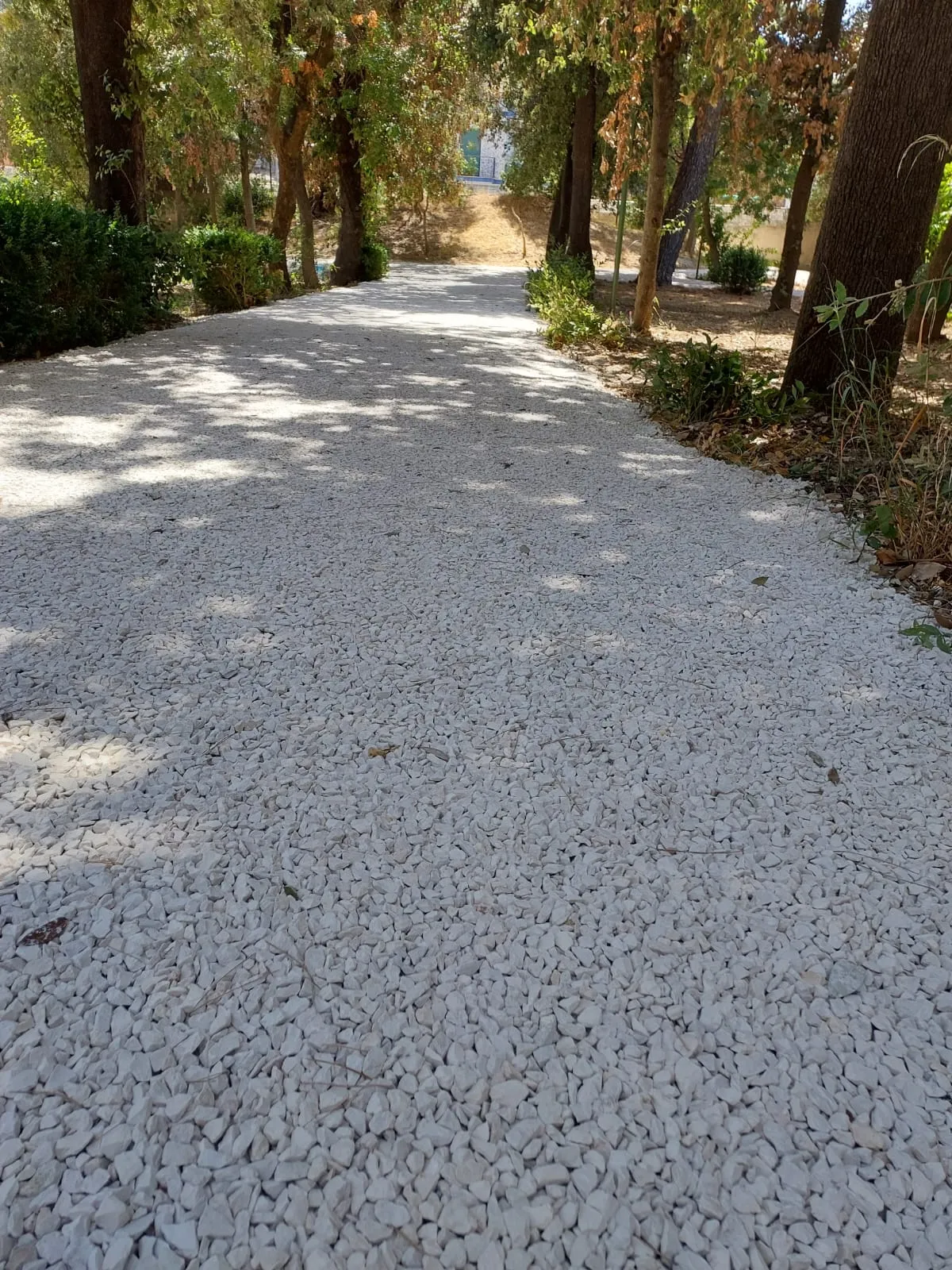Villa Bonelli - immagine 4