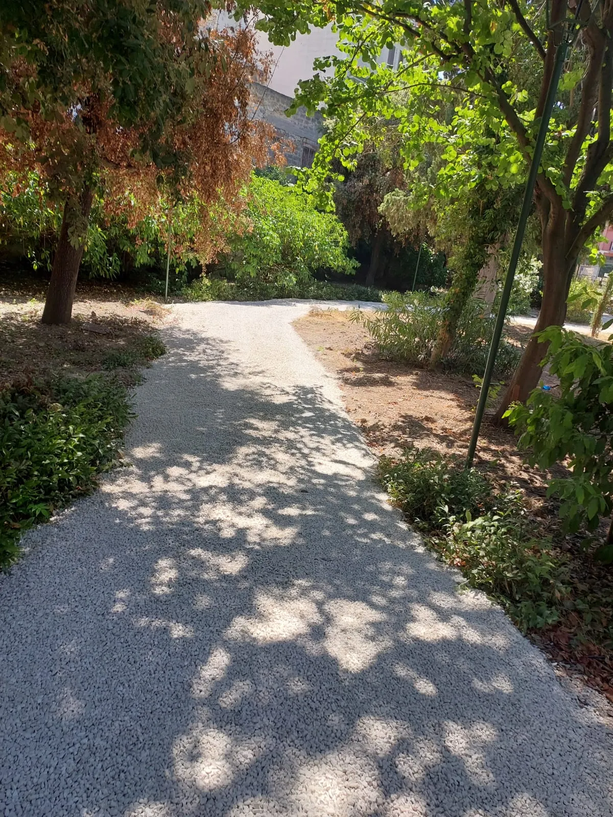 Villa Bonelli - immagine 5